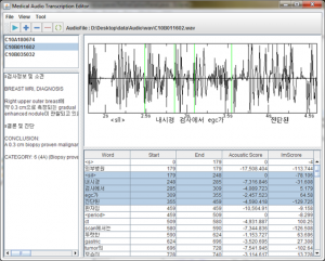 MedicalTranscriptionTool